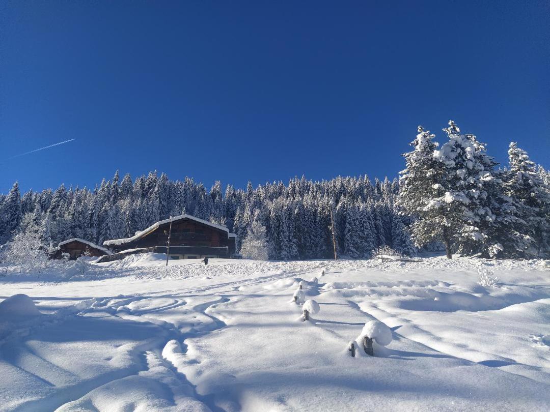 Chalet Lisa B&B Morzine Eksteriør billede